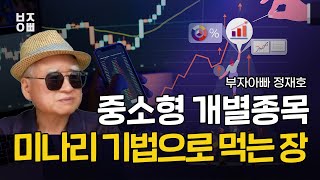 중소형 개별종목 미나리 기법으로 먹는 장