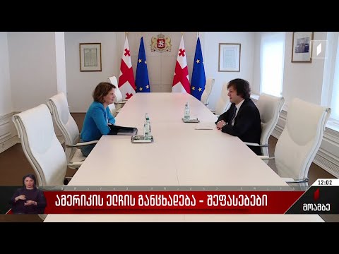 ამერიკის ელჩის განცხადება - შეფასებები პოლიტიკურ სპექტრში