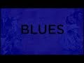 🎸 L'HISTOIRE DU BLUES - Disquaire #17