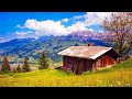 Relaxing Deep Sleep Music & Stunning Nature, Meditation Music, Stress, Healing Therapy Music