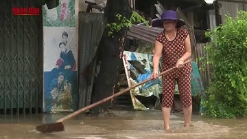 Tin Tức 24h: Mưa lớn gây ngập lụt nhiều vùng trũng ở Quảng Ngãi
