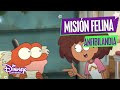 Anfibilandia:  Misión felina | Disney Channel Oficial