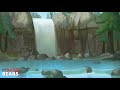 We bare bears ost  chill background music 265 minutes