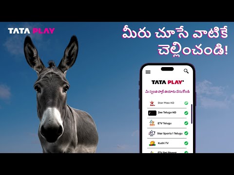 మీరు చూసే Channelsకే చెల్లించండి | మీకు నచ్చిన విధంగా Tata Play Channelsను ఎంచుకోండి!
