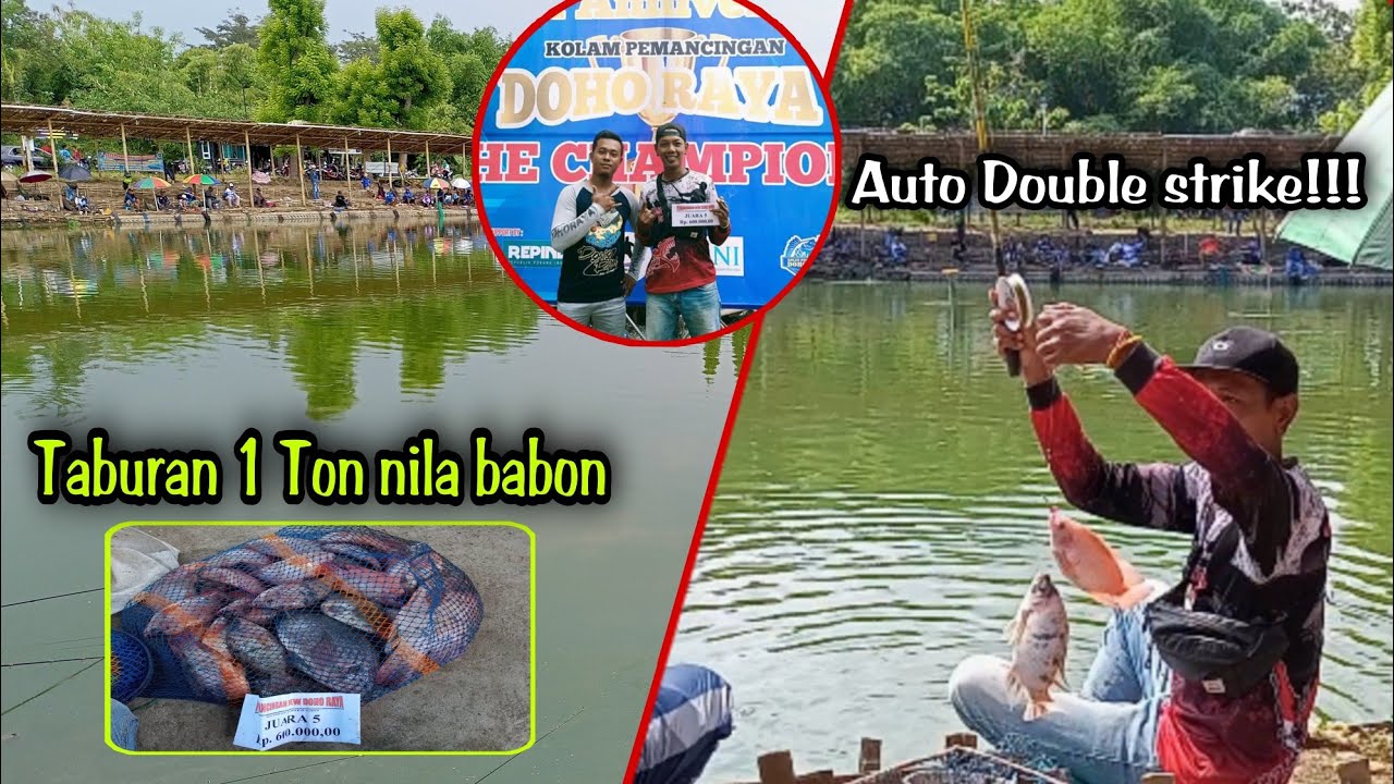 BIG EVENT 1 TON IKAN NILA DI KP DOHO RAYA!!! IKANE UGAL UGALAN,ALHAMDULILAH NAIK PODIUM!!!