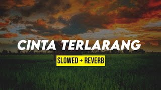 CINTA TERLARANG (slowed reverb)