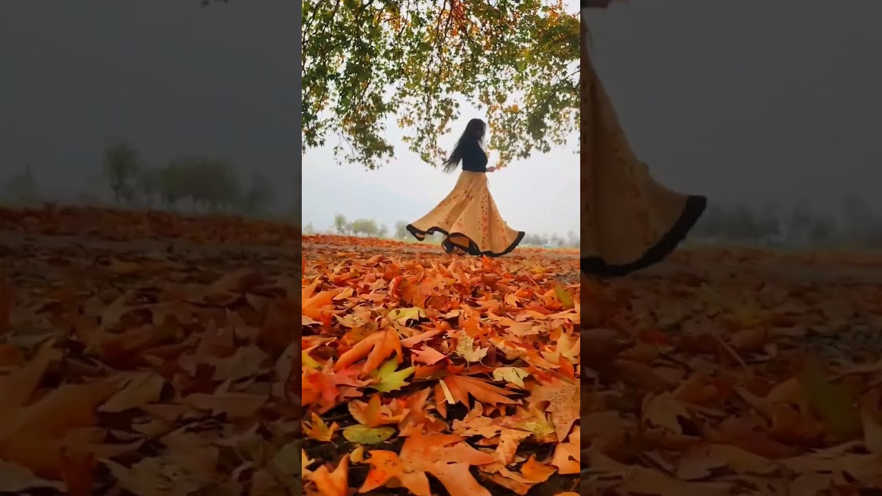 Autumn 🍁 | Kashmir Autumn Season | Beauty | Awesome