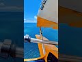 Aventure Aérienne en Guadeloupe 🌴 Sensations