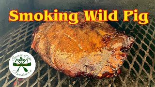 Smoking Wild Pig