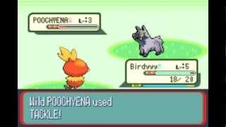 Celebrity Let's Play POKÉMON Ruby Ep. 1 - Professor Birch Wealth