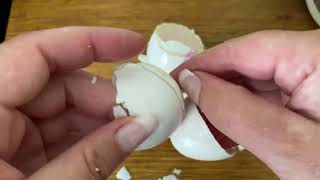 Famous asmr cracking and crunching egg shells Wealth