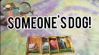 Your Dog Has A Message