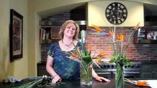 FRESH TEN FILMS Arranging Birds of Paradise - Cactus Flower in Scottsdale AZ