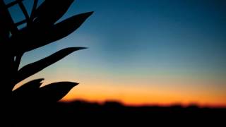 Solar Fields - Insolate