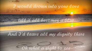 Jay Sean - Jameson (Lyrics)