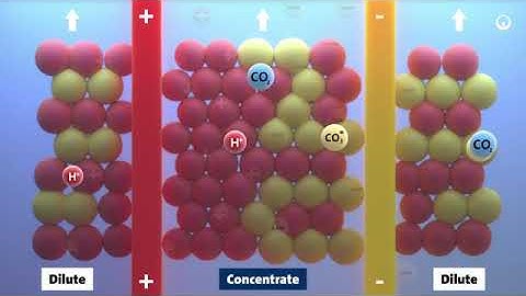 EDI Technology by Veolia