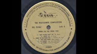 The Walflower Complextion 'When I'm Far From You' 1967 *Not Fade Away*