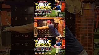 One Exercise For Massive Wings 😳