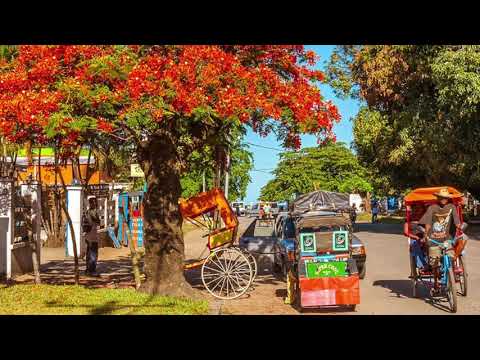 Gasy Tsara( kawitry), Willyraz.