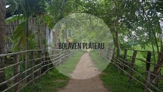 The Bolaven Plateau, Southern Laos