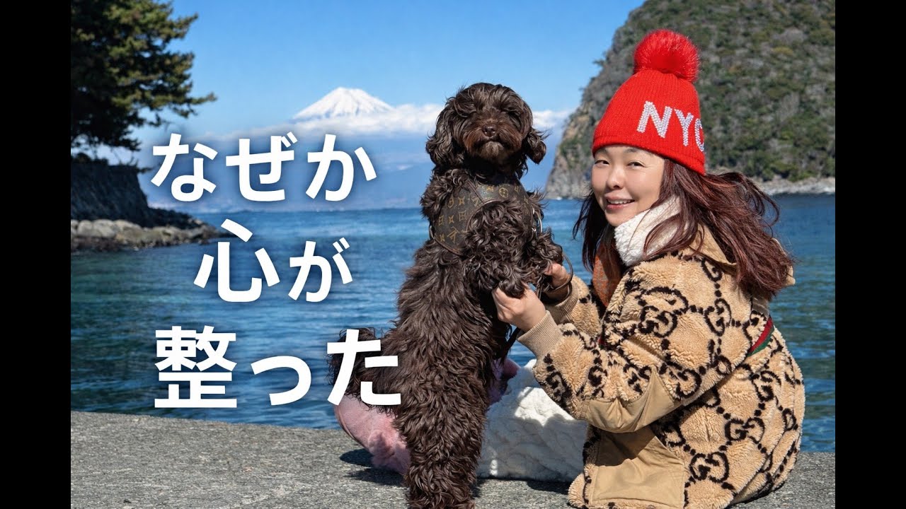 なぜか心が整った｜愛犬と訪れた西伊豆・戸田の時間