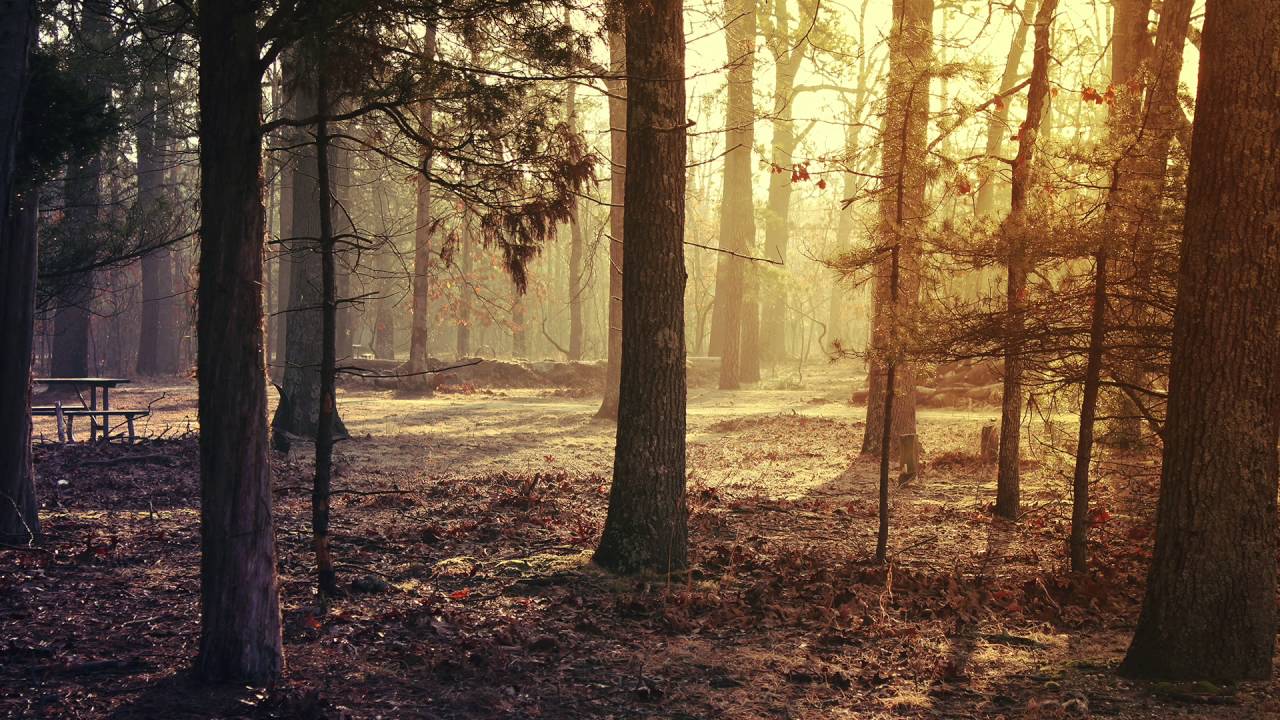 Elliot Berger - Diamond Sky (feat. Laura Brehm) [VIP]