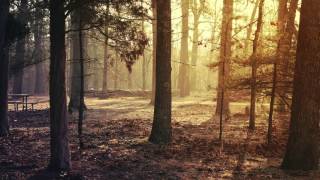 Elliot Berger - Diamond Sky (feat. Laura Brehm) [VIP]