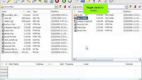 Managing files/folders in CuteFTP | FastDot Cloud Hosting