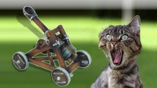 LittleBigPlanet Create-Off: Cat-apult