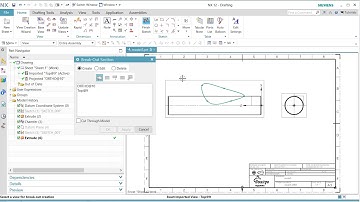 How to create a break out section view in NX drawing (works up to NX 2206)