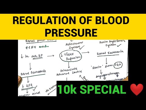 Regulation of Blood Pressure | Physiology | Entry No. 13