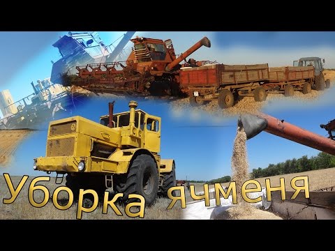 Уборка ячменя. Нива