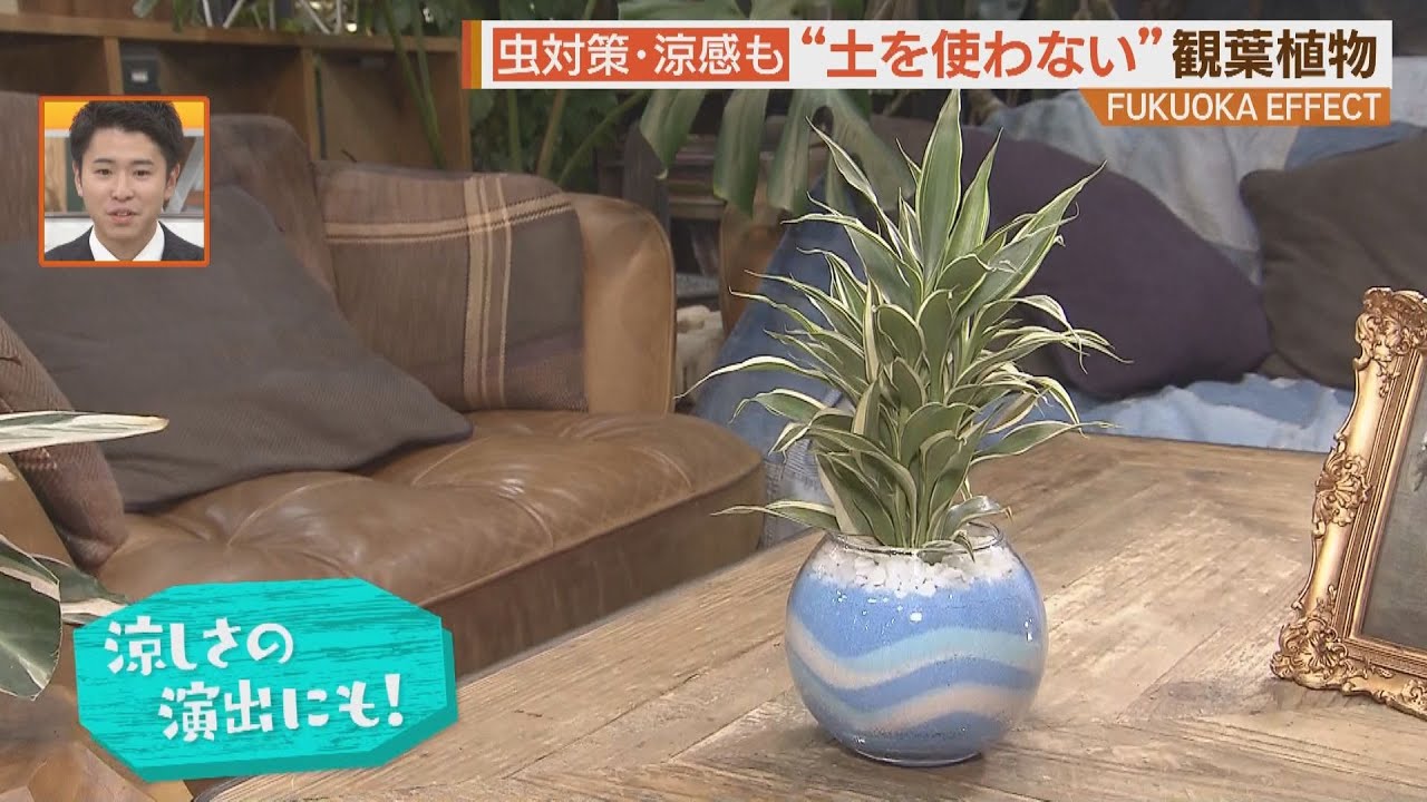 Stress-relieving effects!? The 