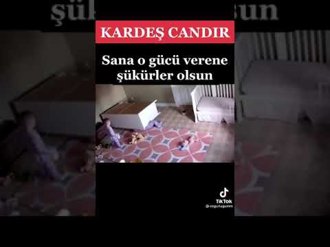 Video: Ağaçlara bakan birine ne denir?