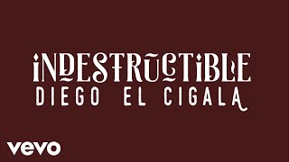 Miniatura del video "Diego El Cigala - Indestructible (Cover Audio)"