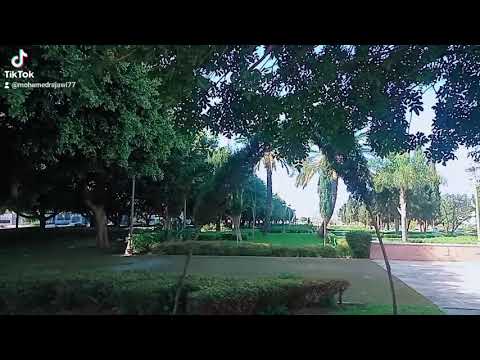صباح أناناس احلى الناس