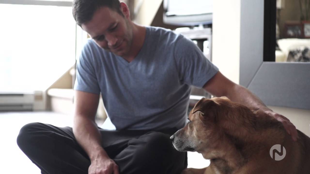 My Pet Diaries - Cheya