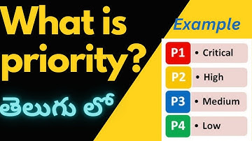 What is Priority In Software Testing? Priority Levels? | Manual Testing Tutorial For Beginners |