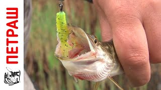 видео Ловля хищной рыбы на искусственную приманку