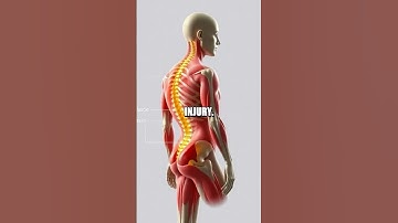 The Importance of Fascia in Human Health