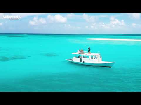 Avicii Dua Lipa Coldplay Martin Garrix Kygo The Chainsmokers Style Summer Vibes 38