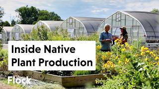 How 500+ NATIVE PLANTS Are Tested, Grown, and Chosen — Ep. 355