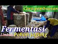 Cara pembuatan fermentasi kering dari limbah pohon jagung - pola pakan yg di awetkan - Dadong awok