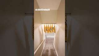 Quite the Steelers fan cave 🔥 (via @the412franimal/IG)