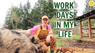 WORK DAYS ON OUR OREGON FARM | CIDER PRESSING, GARDENING, CANNING &amp; MORE!