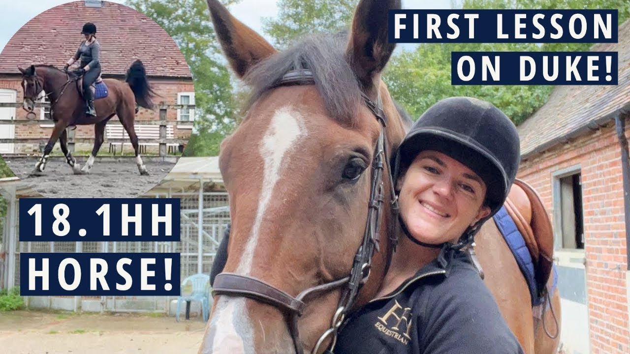How To Ride an 18.1hh Horse First Lesson on my new PartLoan Horse Riding With Rhi YouTube