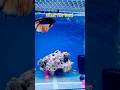 home fish gehra hua shorts # youtube short# #arijitsingh #jubinnautiyal