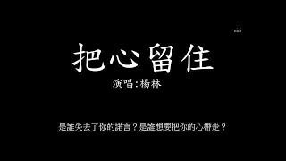 楊林   把心留住(歌詞)    超級好聽