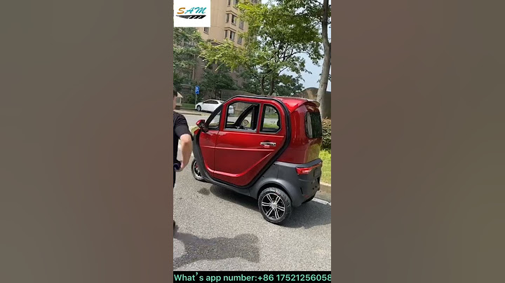 3-wheel mini electric car from China 2021! 2 doors 3 seats electric tricycle Factory