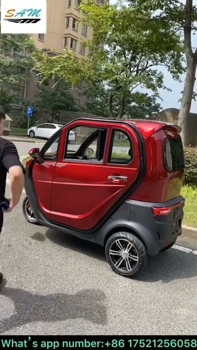 3-wheel mini electric car from China 2021! 2 doors 3 seats electric tricycle Factory